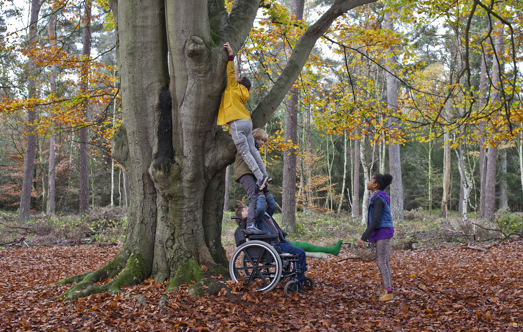 Ein Mädchen versucht etwas weit oben an einem alten, dicken Baumstamm zu erreichen. Dafür steht ein Junge auf den Armlehnen des Rollstuhls eines anderen. Das Märchen wird von den beiden Jungs hochgehoben.