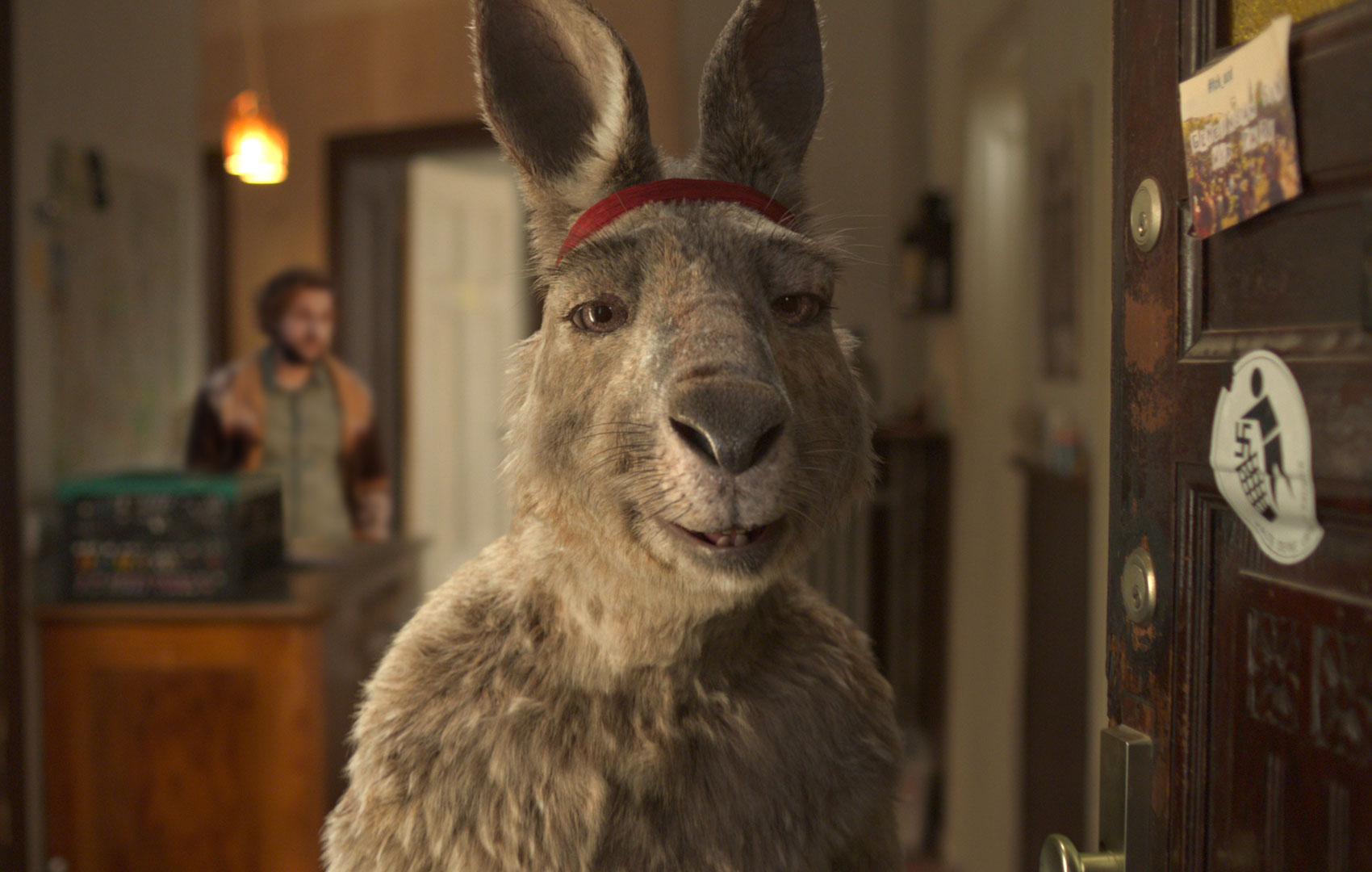 Ein Känguru mit einem roten Stirnband steht in einer offenen Wohnungstür und schaut direkt in die Kamera.